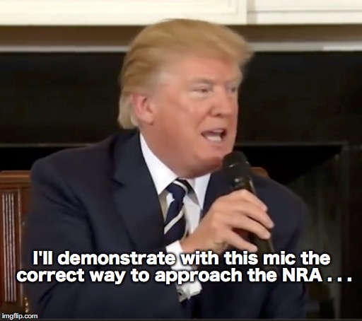 Trump as mentor . . . | I'll demonstrate with this mic the correct way to approach the NRA . . . | image tagged in trump,nra,gun control | made w/ Imgflip meme maker