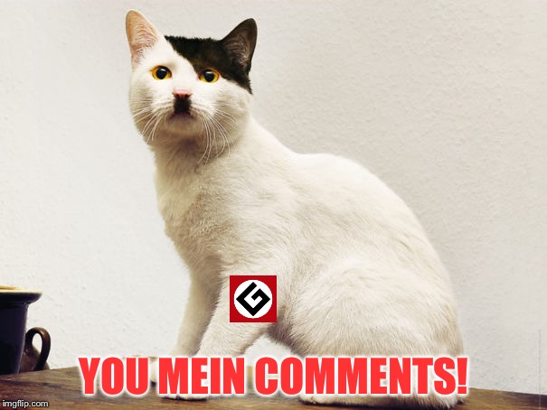 Hitler Cat | YOU MEIN COMMENTS! | image tagged in hitler cat | made w/ Imgflip meme maker