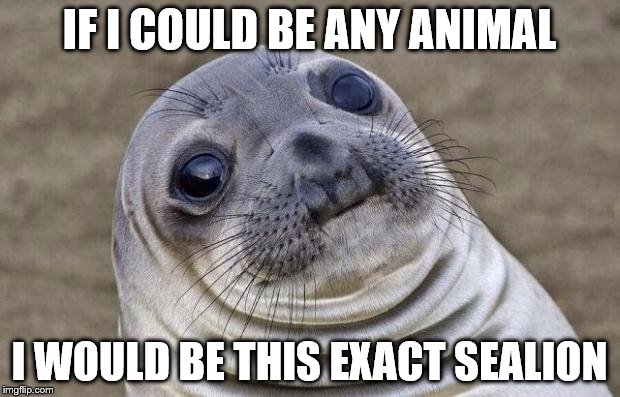 Awkward Moment Sealion Meme | IF I COULD BE ANY ANIMAL; I WOULD BE THIS EXACT SEALION | image tagged in memes,awkward moment sealion | made w/ Imgflip meme maker