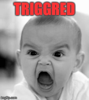 Angry Baby Meme | TRIGGRED | image tagged in memes,angry baby | made w/ Imgflip meme maker