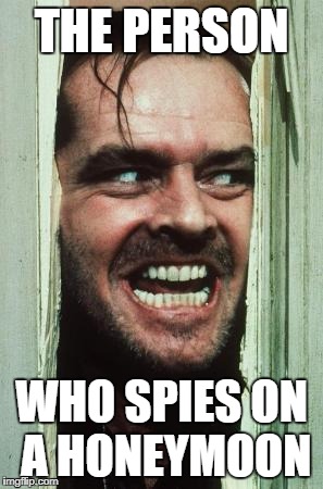 Here's Johnny Meme | THE PERSON; WHO SPIES ON A HONEYMOON | image tagged in memes,heres johnny | made w/ Imgflip meme maker