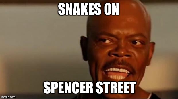 Snakes on the Plane Samuel L Jackson | SNAKES ON; SPENCER STREET | image tagged in snakes on the plane samuel l jackson | made w/ Imgflip meme maker