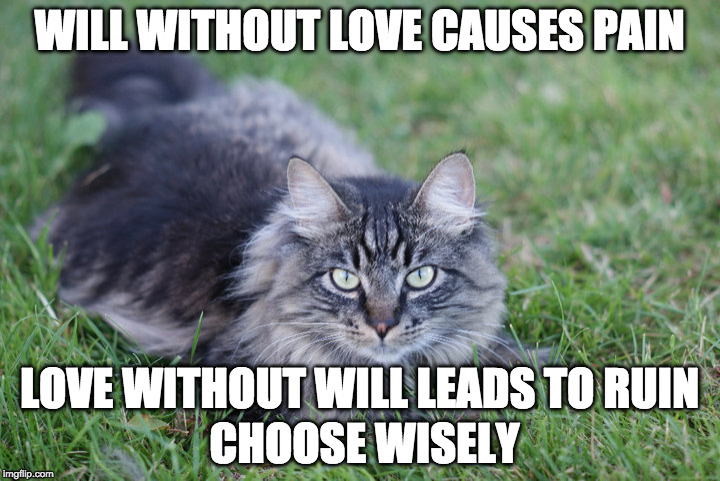 WILL WITHOUT LOVE CAUSES PAIN; LOVE WITHOUT WILL LEADS TO RUIN; CHOOSE WISELY | image tagged in 93,love | made w/ Imgflip meme maker