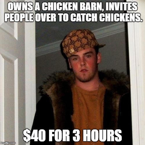 Scumbag Steve Meme | OWNS A CHICKEN BARN, INVITES PEOPLE OVER TO CATCH CHICKENS. $40 FOR 3 HOURS | image tagged in memes,scumbag steve | made w/ Imgflip meme maker