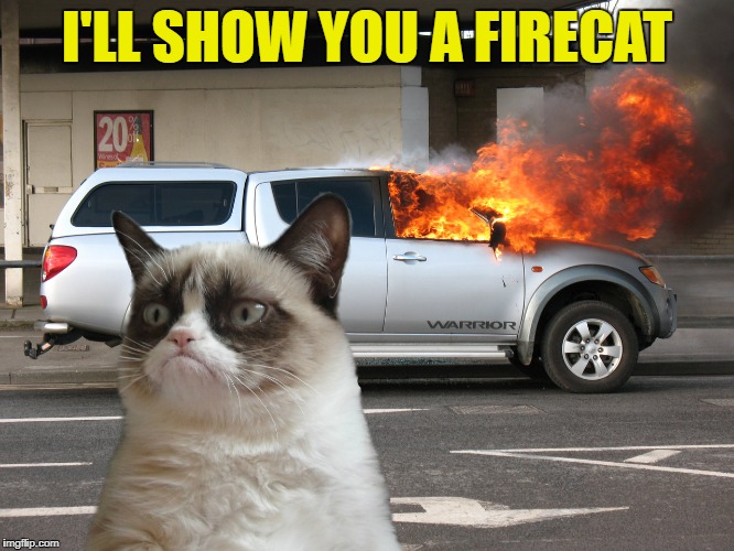 I'LL SHOW YOU A FIRECAT | made w/ Imgflip meme maker