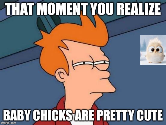 Futurama Fry | THAT MOMENT YOU REALIZE; BABY CHICKS ARE PRETTY CUTE | image tagged in memes,futurama fry | made w/ Imgflip meme maker