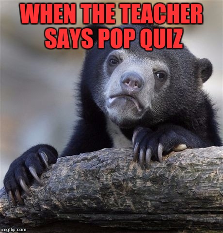 Confession Bear | WHEN THE TEACHER SAYS POP QUIZ | image tagged in memes,confession bear | made w/ Imgflip meme maker