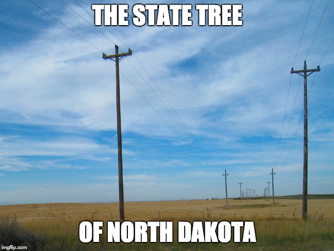 THE STATE TREE; OF NORTH DAKOTA | made w/ Imgflip meme maker