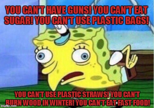 Living with Liberals in the US is Like Living With Your Mother In Law | YOU CAN'T HAVE GUNS! YOU CAN'T EAT SUGAR! YOU CAN'T USE PLASTIC BAGS! YOU CAN'T USE PLASTIC STRAWS! YOU CAN'T BURN WOOD IN WINTER! YOU CAN'T EAT FAST FOOD! | image tagged in memes,mocking spongebob,liberals,nag,mother in law | made w/ Imgflip meme maker