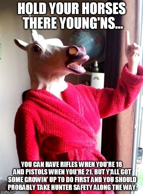 HOLD YOUR HORSES THERE YOUNG'NS... YOU CAN HAVE RIFLES WHEN YOU'RE 18 AND PISTOLS WHEN YOU'RE 21. BUT Y'ALL GOT SOME GROWIN' UP TO DO FIRST  | made w/ Imgflip meme maker