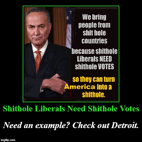 #ShitholeLiberals Need #Shithole Votes | image tagged in shithole,shitholes,detroit,shithole detroit,not funny | made w/ Imgflip demotivational maker