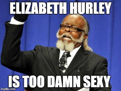 Too Damn High | ELIZABETH HURLEY; IS TOO DAMN SEXY | image tagged in memes,too damn high | made w/ Imgflip meme maker