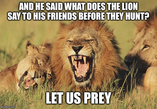 AND HE SAID WHAT DOES THE LION SAY TO HIS FRIENDS BEFORE THEY HUNT? LET US PREY | image tagged in memes,lions | made w/ Imgflip meme maker