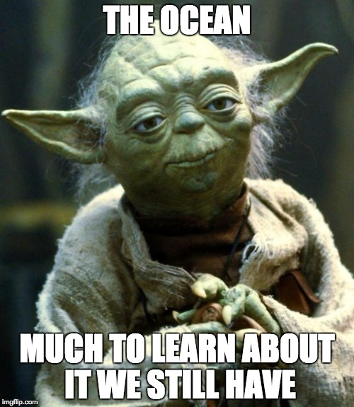 It's true, 99% of the ocean remains unexplored. | THE OCEAN; MUCH TO LEARN ABOUT IT WE STILL HAVE | image tagged in memes,star wars yoda,ocean memes,ocean,much to learn you still have,so true memes | made w/ Imgflip meme maker