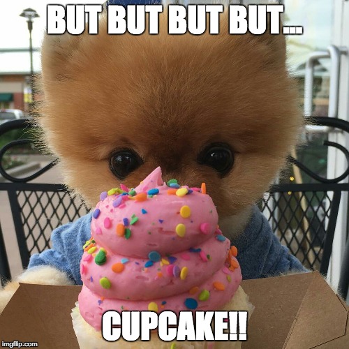 But but but cupcake | BUT BUT BUT BUT... CUPCAKE!! | image tagged in jiffpom,cupcakes,cupcake | made w/ Imgflip meme maker