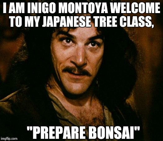 Inigo Montoya Meme | I AM INIGO MONTOYA WELCOME TO MY JAPANESE TREE CLASS, "PREPARE BONSAI" | image tagged in memes,inigo montoya | made w/ Imgflip meme maker