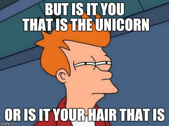 Futurama Fry Meme | BUT IS IT YOU THAT IS THE UNICORN OR IS IT YOUR HAIR THAT IS | image tagged in memes,futurama fry | made w/ Imgflip meme maker