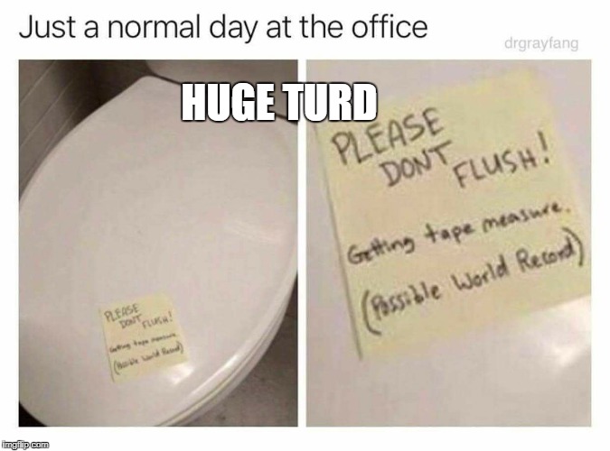 turd |  HUGE TURD | image tagged in turd | made w/ Imgflip meme maker