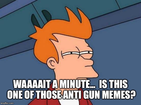 Futurama Fry Meme | WAAAAIT A MINUTE...  IS THIS ONE OF THOSE ANTI GUN MEMES? | image tagged in memes,futurama fry | made w/ Imgflip meme maker