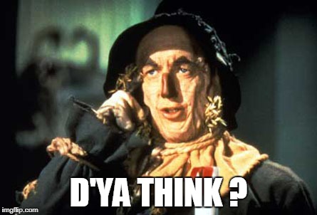 D'ya Think? | D'YA THINK ? | image tagged in wizard of oz scarecrow | made w/ Imgflip meme maker