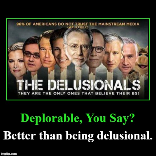Deplorable, You Say? | Deplorable, You Say? | Better than being delusional. | image tagged in demotivationals,deplorable you say,better than being delusional,msm,mainstream media,lamestrean media bullshit | made w/ Imgflip demotivational maker