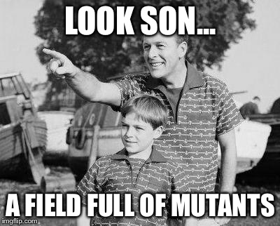 Look Son Meme | LOOK SON... A FIELD FULL OF MUTANTS | image tagged in memes,look son | made w/ Imgflip meme maker