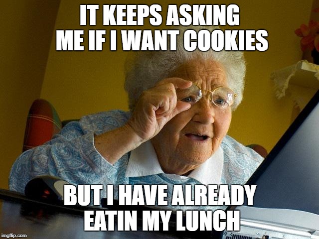 Grandma Finds The Internet | IT KEEPS ASKING ME IF I WANT COOKIES; BUT I HAVE ALREADY EATIN MY LUNCH | image tagged in memes,grandma finds the internet | made w/ Imgflip meme maker