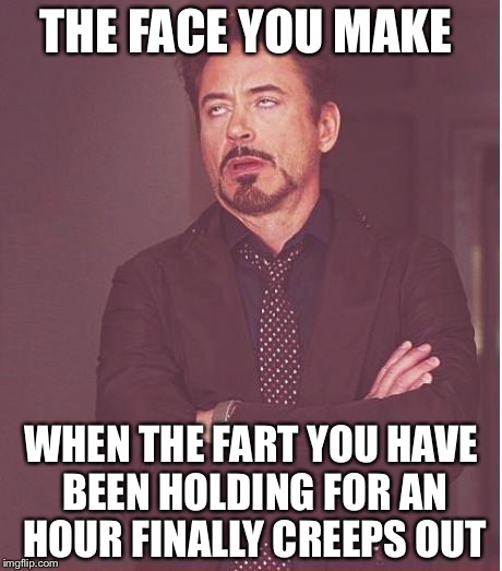 What a Relief | THE FACE YOU MAKE; WHEN THE FART YOU HAVE BEEN HOLDING FOR AN HOUR FINALLY CREEPS OUT | image tagged in memes,face you make robert downey jr,flatulence,satisfaction,relief | made w/ Imgflip meme maker