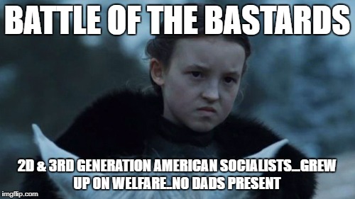 Lyanna Mormont, Battle Of The Bastards | BATTLE OF THE BASTARDS; 2D & 3RD GENERATION AMERICAN SOCIALISTS...GREW UP ON WELFARE..NO DADS PRESENT | image tagged in lyanna mormont battle of the bastards | made w/ Imgflip meme maker