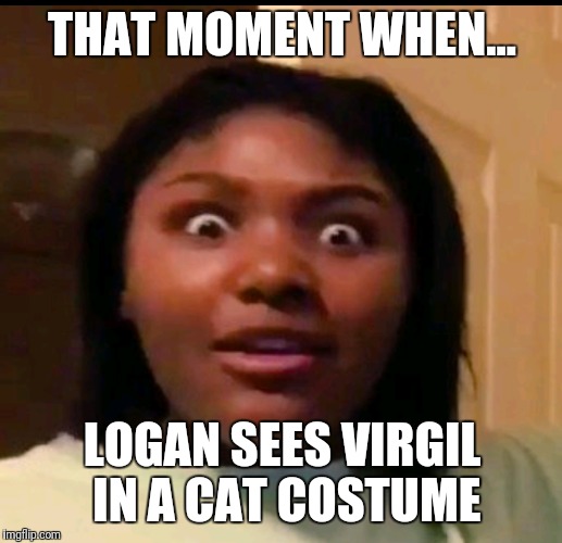  THAT MOMENT WHEN... LOGAN SEES VIRGIL IN A CAT COSTUME | image tagged in dj red panda,furries,sanders sides,scenario | made w/ Imgflip meme maker