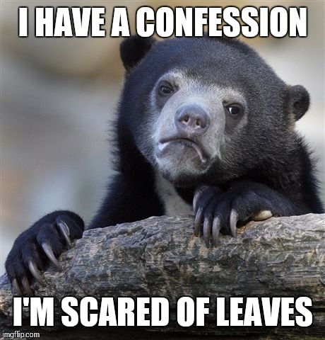 Confession Bear Meme | I HAVE A CONFESSION; I'M SCARED OF LEAVES | image tagged in memes,confession bear | made w/ Imgflip meme maker