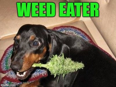 WEED EATER | made w/ Imgflip meme maker