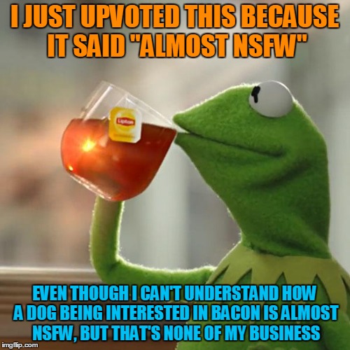 But That's None Of My Business Meme | I JUST UPVOTED THIS BECAUSE IT SAID "ALMOST NSFW" EVEN THOUGH I CAN'T UNDERSTAND HOW A DOG BEING INTERESTED IN BACON IS ALMOST NSFW, BUT THA | image tagged in memes,but thats none of my business,kermit the frog | made w/ Imgflip meme maker