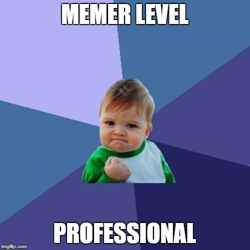MEMER LEVEL PROFESSIONAL | image tagged in memes,success kid | made w/ Imgflip meme maker