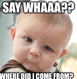 Skeptical Baby | SAY WHAAA?? WHERE DID I COME FROM? | image tagged in memes,skeptical baby,innocent,truth,storks | made w/ Imgflip meme maker