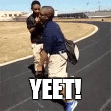 YEET! | image tagged in memes | made w/ Imgflip meme maker
