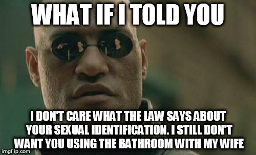 Matrix Morpheus Meme | WHAT IF I TOLD YOU; I DON'T CARE WHAT THE LAW SAYS ABOUT YOUR SEXUAL IDENTIFICATION. I STILL DON'T WANT YOU USING THE BATHROOM WITH MY WIFE | image tagged in memes,matrix morpheus | made w/ Imgflip meme maker