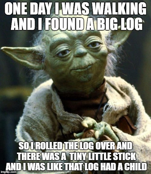 Star Wars Yoda | ONE DAY I WAS WALKING AND I FOUND A BIG LOG; SO I ROLLED THE LOG OVER AND THERE WAS A  TINY LITTLE STICK AND I WAS LIKE THAT LOG HAD A CHILD | image tagged in memes,star wars yoda | made w/ Imgflip meme maker