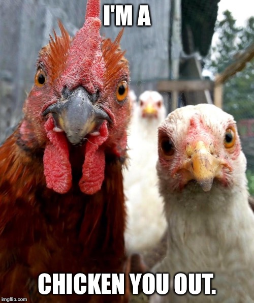 Farm pick up lines | I'M A; CHICKEN YOU OUT. | image tagged in chicken,pun,punny,funny | made w/ Imgflip meme maker
