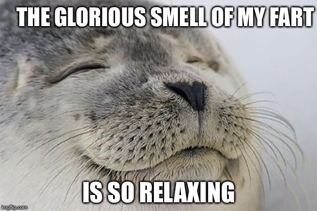 Farting Seal | THE GLORIOUS SMELL OF MY FART; IS SO RELAXING | image tagged in memes,satisfied seal,relax,content,flatulence | made w/ Imgflip meme maker