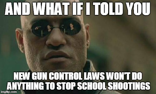 Matrix Morpheus Meme | AND WHAT IF I TOLD YOU NEW GUN CONTROL LAWS WON'T DO ANYTHING TO STOP SCHOOL SHOOTINGS | image tagged in memes,matrix morpheus | made w/ Imgflip meme maker