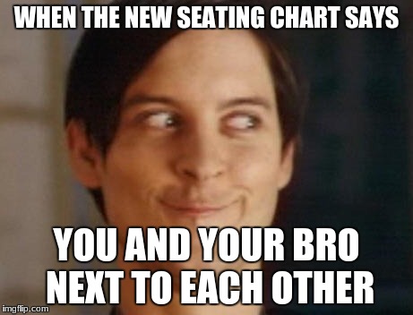Spiderman Peter Parker Meme | WHEN THE NEW SEATING CHART SAYS; YOU AND YOUR BRO NEXT TO EACH OTHER | image tagged in memes,spiderman peter parker | made w/ Imgflip meme maker