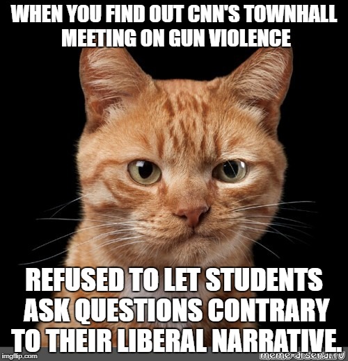 CNN barred one of the hero's of the Florida shooting spree from asking his questions because they didn't fit the narrative. |  WHEN YOU FIND OUT CNN'S TOWNHALL MEETING ON GUN VIOLENCE; REFUSED TO LET STUDENTS ASK QUESTIONS CONTRARY TO THEIR LIBERAL NARRATIVE. | image tagged in smirking cat2,gun control,gun violence,liberal media,media bias | made w/ Imgflip meme maker