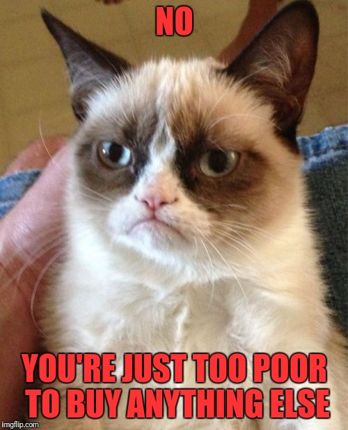 Grumpy Cat Meme | NO YOU'RE JUST TOO POOR TO BUY ANYTHING ELSE | image tagged in memes,grumpy cat | made w/ Imgflip meme maker