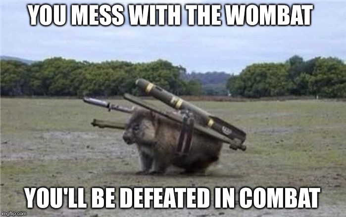 Combat Wombat | YOU MESS WITH THE WOMBAT; YOU'LL BE DEFEATED IN COMBAT | image tagged in combat wombat | made w/ Imgflip meme maker