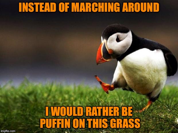 Huffin and Puffin | INSTEAD OF MARCHING AROUND; I WOULD RATHER BE PUFFIN ON THIS GRASS | image tagged in memes,puffin,weed,stoned,bird,meme | made w/ Imgflip meme maker