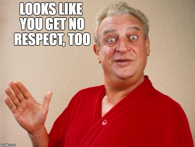 LOOKS LIKE YOU GET NO RESPECT, TOO | made w/ Imgflip meme maker
