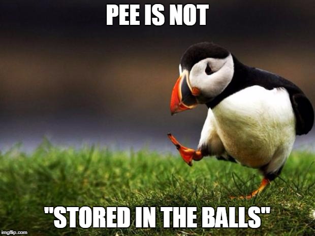 The truth has been spoken | PEE IS NOT; "STORED IN THE BALLS" | image tagged in memes,unpopular opinion puffin,funny,pee is stored in the balls | made w/ Imgflip meme maker