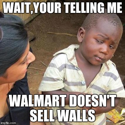 Third World Skeptical Kid | WAIT,YOUR TELLING ME; WALMART DOESN'T SELL WALLS | image tagged in memes,third world skeptical kid | made w/ Imgflip meme maker