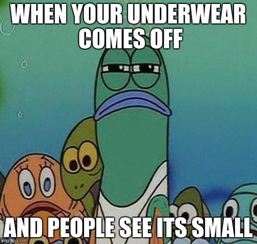 SpongeBob | WHEN YOUR UNDERWEAR COMES OFF; AND PEOPLE SEE ITS SMALL | image tagged in spongebob | made w/ Imgflip meme maker